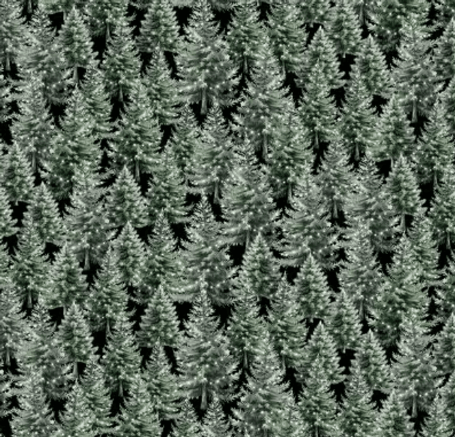 Hovedbilde Evergreen Winter Evergreen