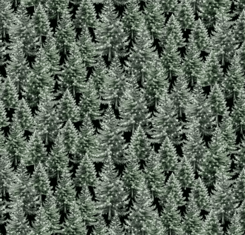 Evergreen Winter Evergreen
